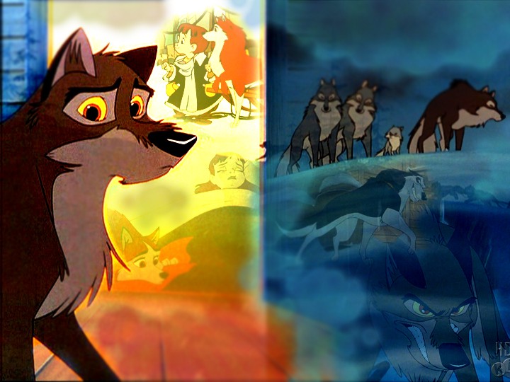 Duality