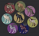 Music Dogs: Adoptables