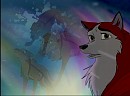 Sled Dog