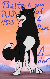 Balto-A Hero of four Paws
