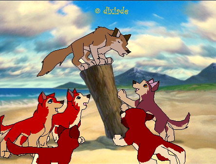 Balto x Jenna pubs 