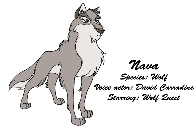 Nava - profile