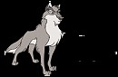 Nava - profile