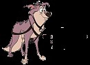 Star - profile