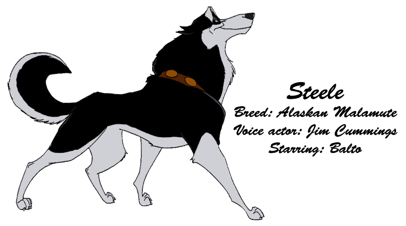 Steele - profile