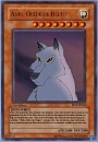 Funcard Yu-Gi-Oh ! Aniu :