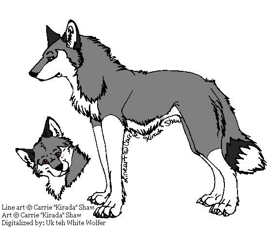 White Fang Lineart (c) Kirada