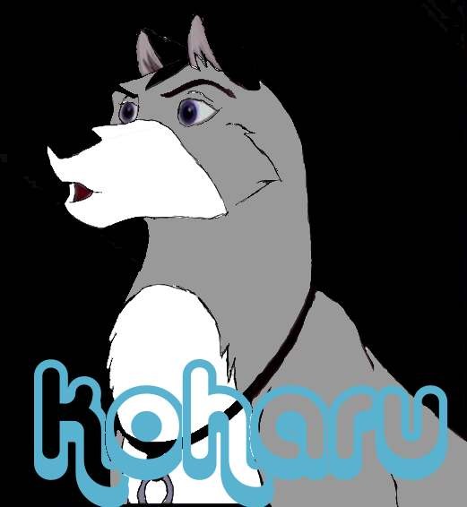 White Fang's sis, Koharu.