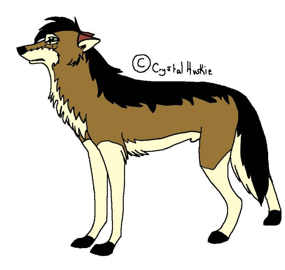 Ray full body