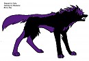 Shadow full body