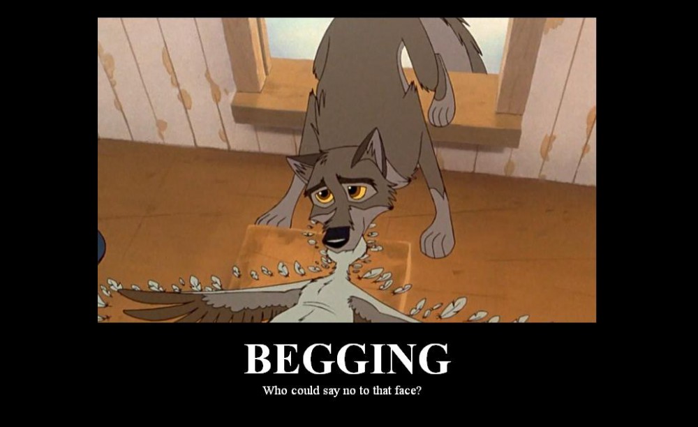 Plz? kthxbye!