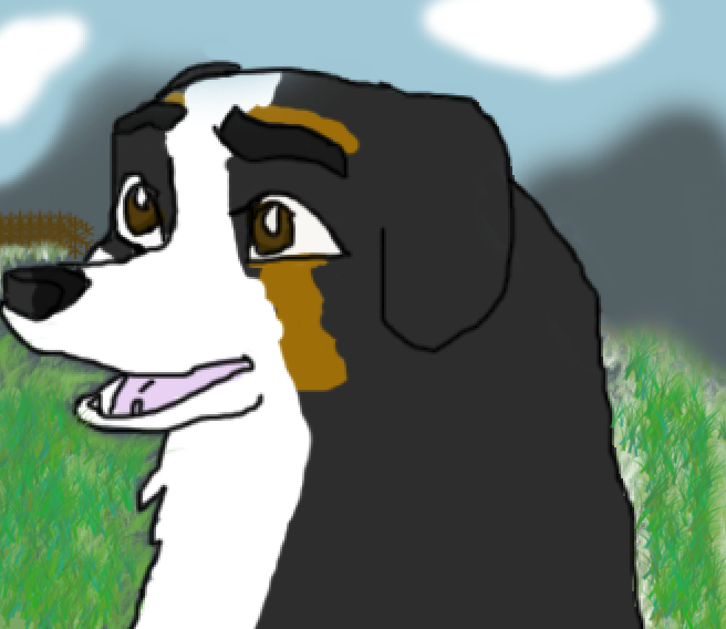 Request for Sar : Calliope