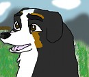Request for Sar : Calliope