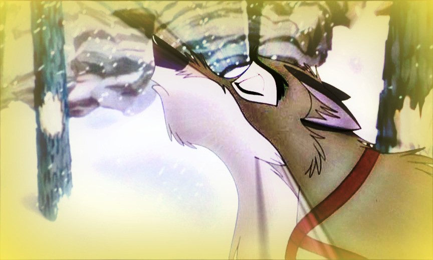 Balto's leader photo Lawl :3