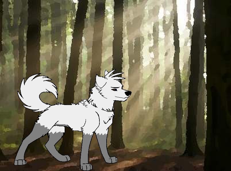 Aroa in da' woods xD