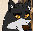 Nayeli