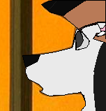 Just..staring