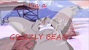 I'M A GRIZZLY BEAR!