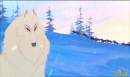 Agniu, balto attelage...