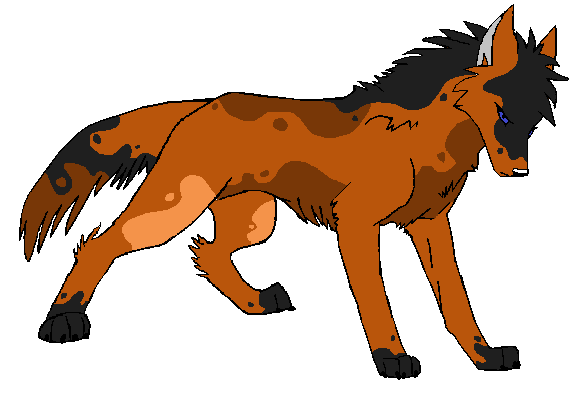 Another Adoptable