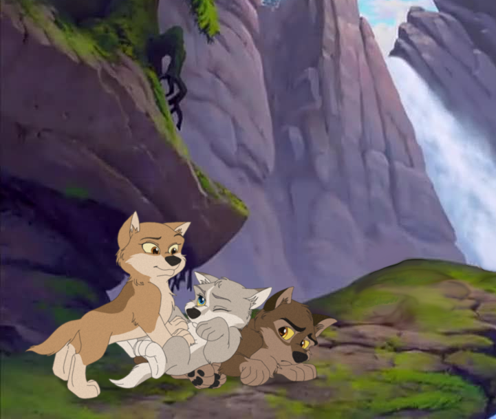 Eli and Aniu's Pups