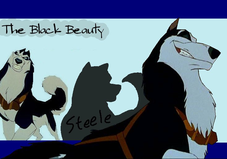 The black beauty