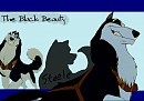The black beauty