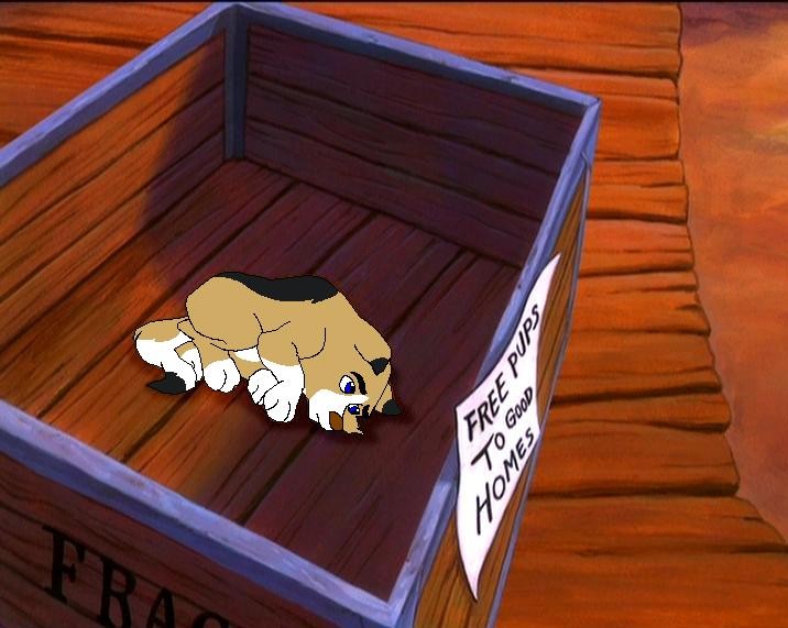 Genevere as a puppy