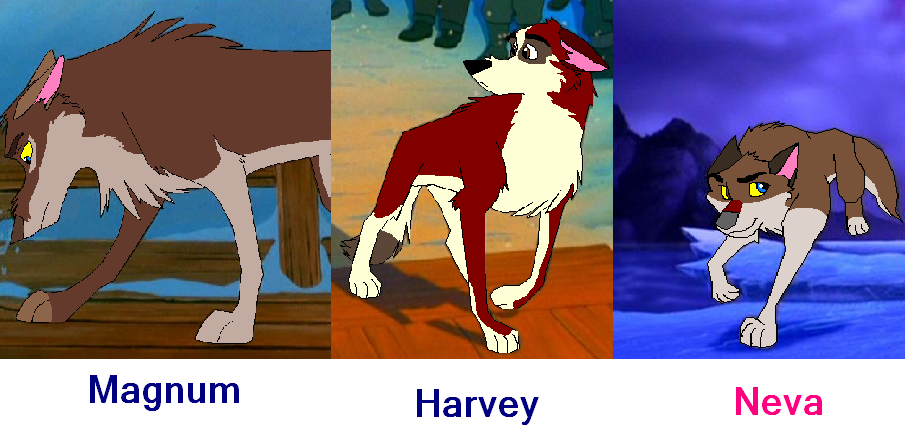 My version of Balto 2nd litter