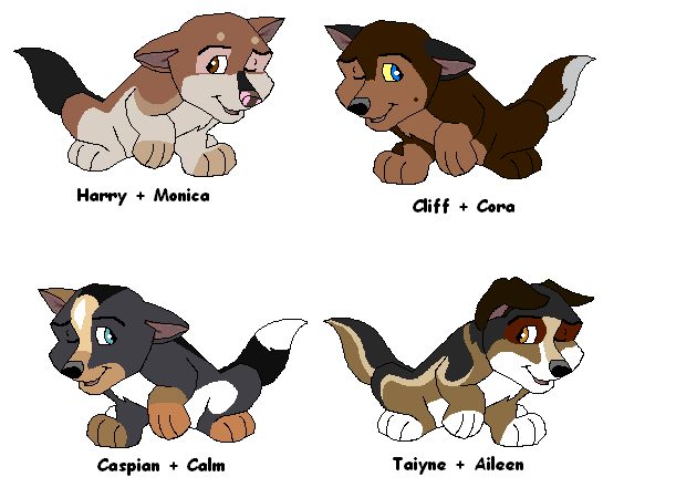 Fan Pups!