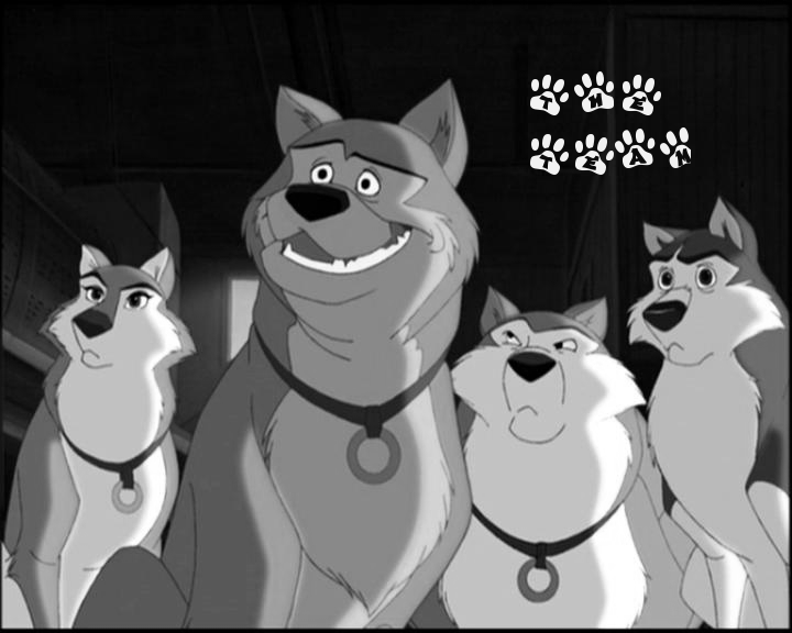 The Team - Greyscaled and Pawprint Name