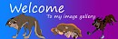 Presentation  Welcome  Picture