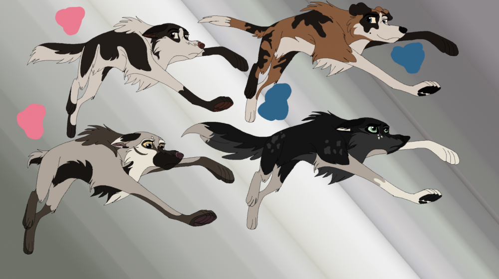 Scrap Designs