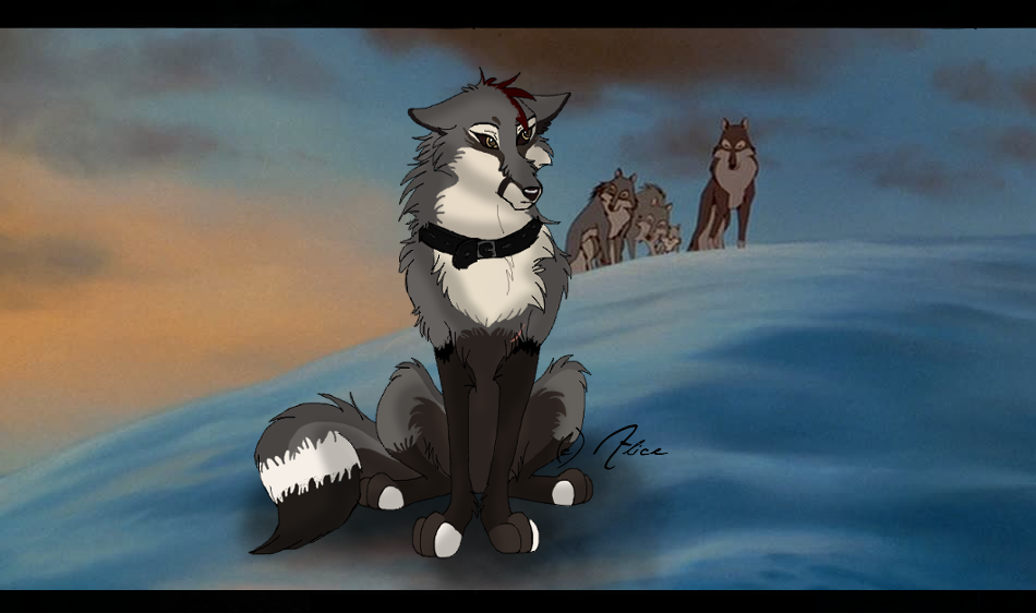 Benny For Animha