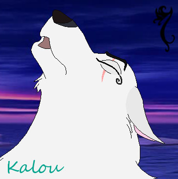 Request Kaloo: Kalou Avatar