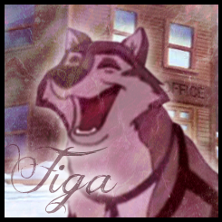 Avatar Dusty pour Figa