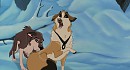 Kelpie X Dingo : the meeting part 2