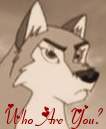 Who Are You?