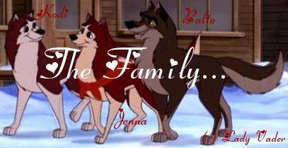 .x.The Family.x.