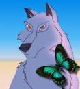 Aniu.