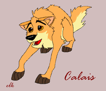 Calais