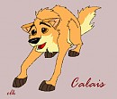 Calais