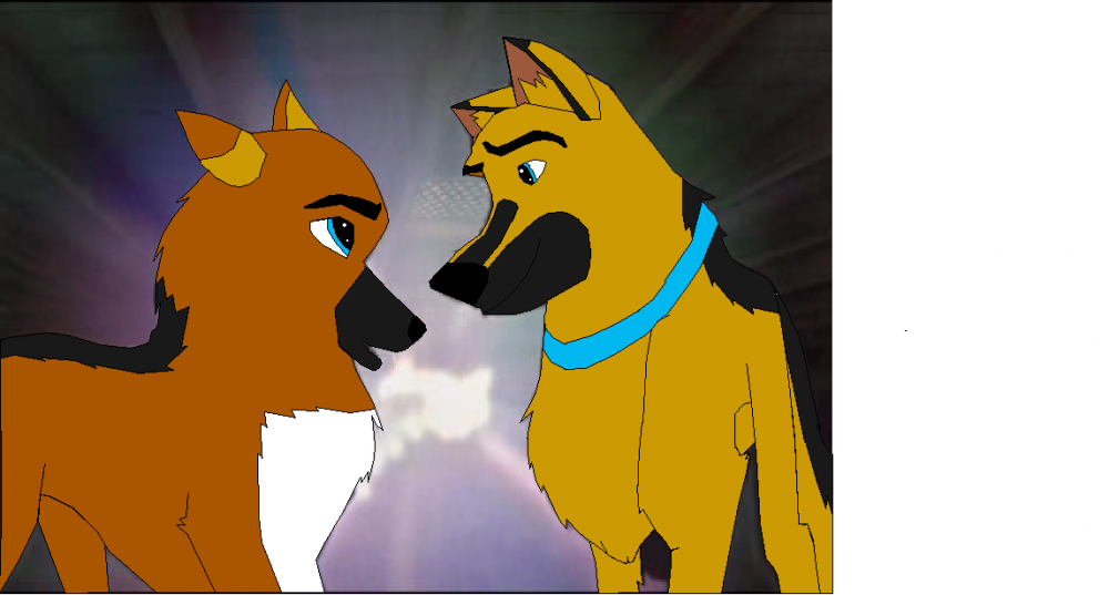 Heinz and Rexy(Rex(GSD))