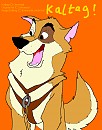 It's Kaltag!