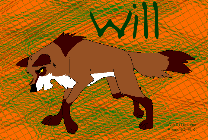Will for Larkspur