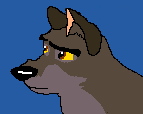 Balto Avvie 