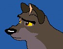 Balto Avvie 