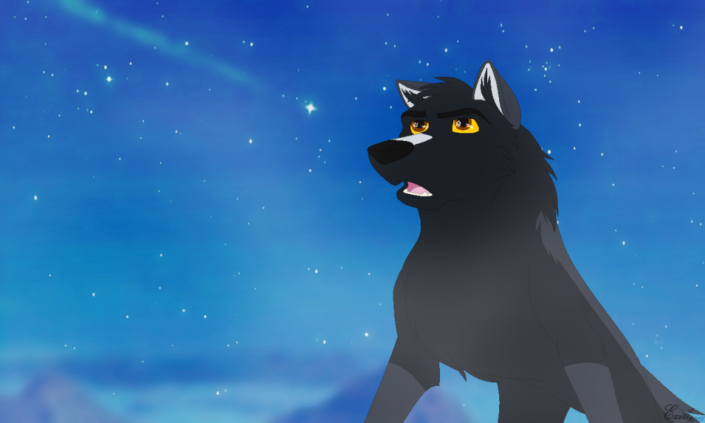 Starlight Beyond the Fog