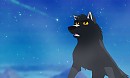 Starlight Beyond the Fog