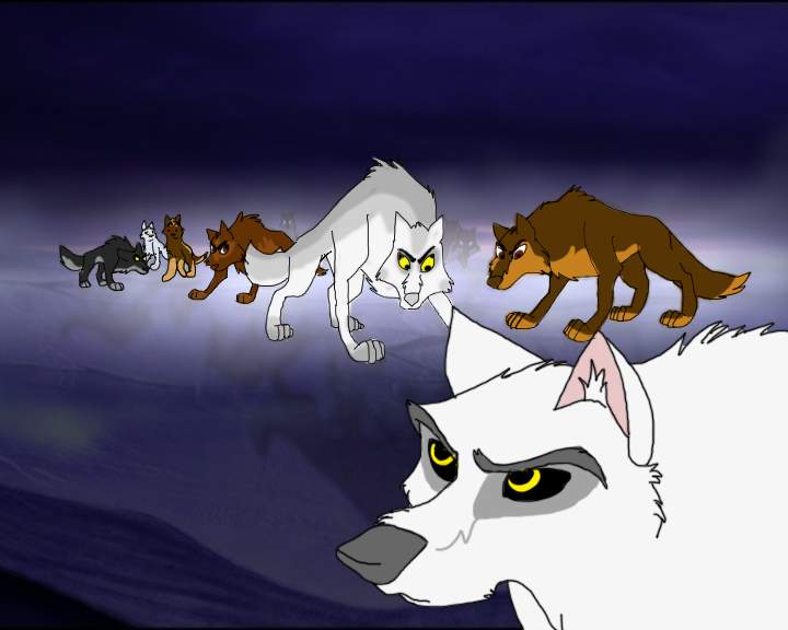 Wolves vs. Aranck